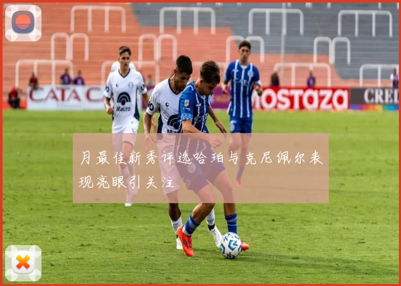 月最佳新秀评选哈珀与克尼佩尔表现亮眼引关注