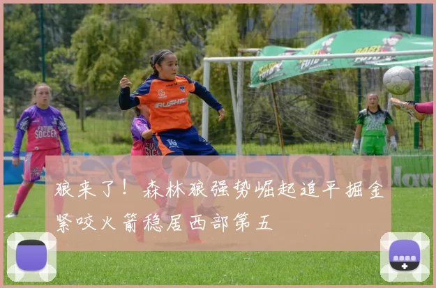 狼来了！森林狼强势崛起追平掘金紧咬火箭稳居西部第五
