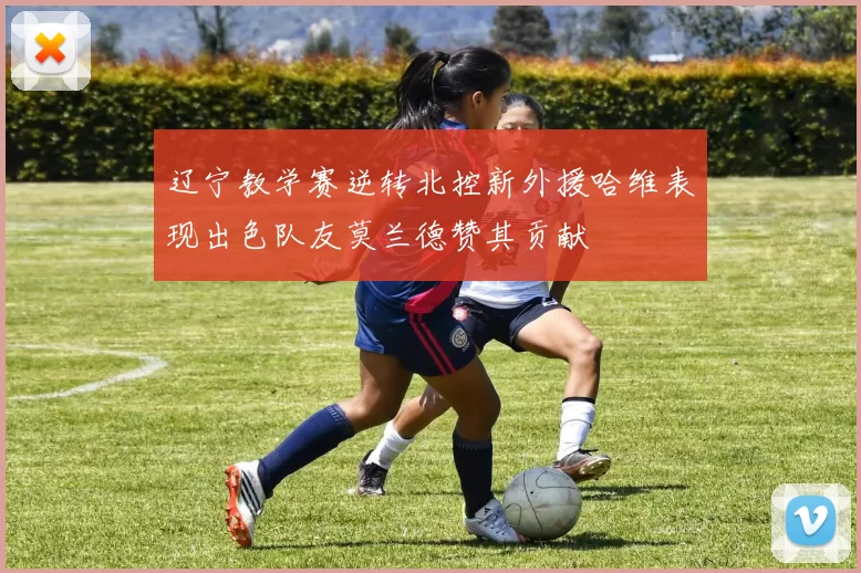 辽宁教学赛逆转北控新外援哈维表现出色队友莫兰德赞其贡献